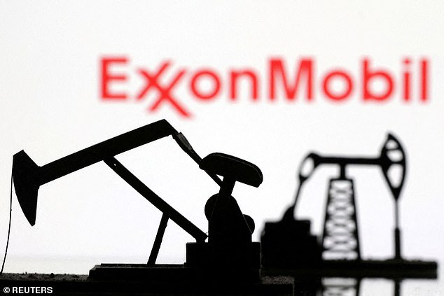 Oil giant Exxon Mobil has described the area as 'the most promising and least explored regions for oil'.
