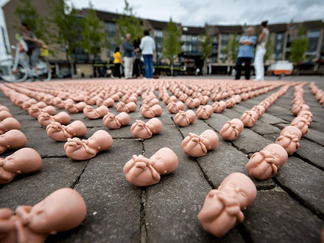 Hundreds of little plastic foetuses are displayed on a square in Houten, August 12, 2013. The Dutch Christian organisation Schreeuw om Leven (Scream for Life) has set up the action to protest against the establishment of a Centre for Birth Control, Abortion and Sexuality Rotterdam (CASA) in Houten. AFP PHOTO K