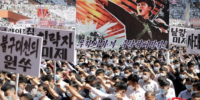 The pictured rally is in Pyongyang
